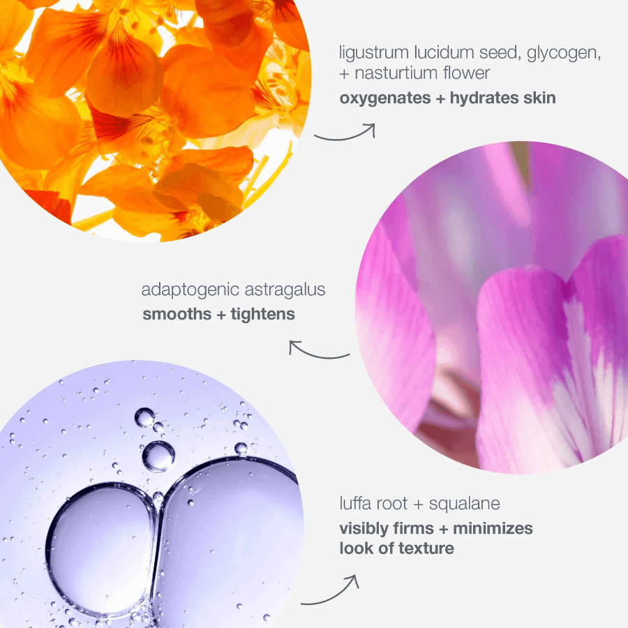phyto nature oxygen cream - Dermalogica Hong Kong