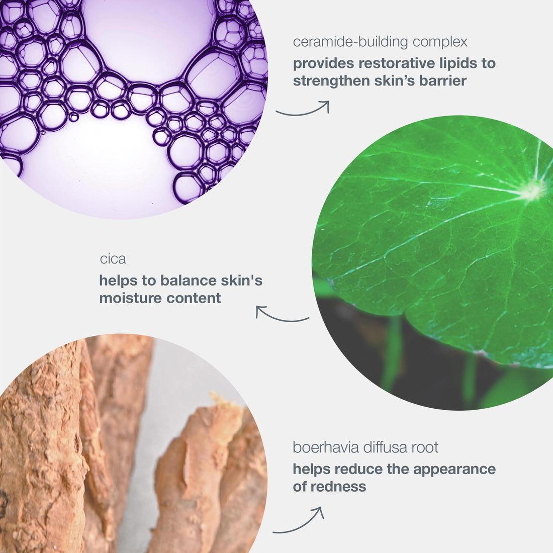 stabilizing repair cream - Dermalogica Hong Kong