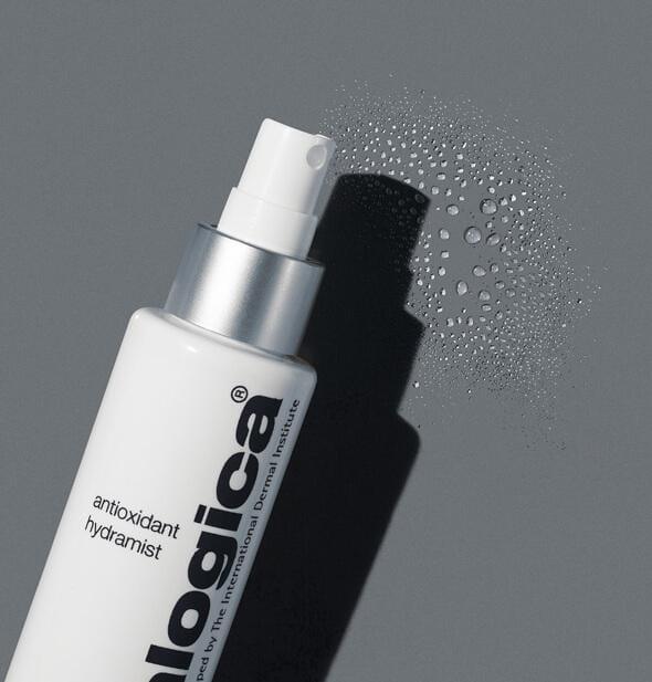 antioxidant hydramist travel size - Dermalogica Hong Kong